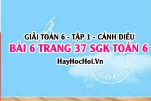 Giải bài 6 trang 37 Toán 6 Tập 1 SGK Cánh Diều